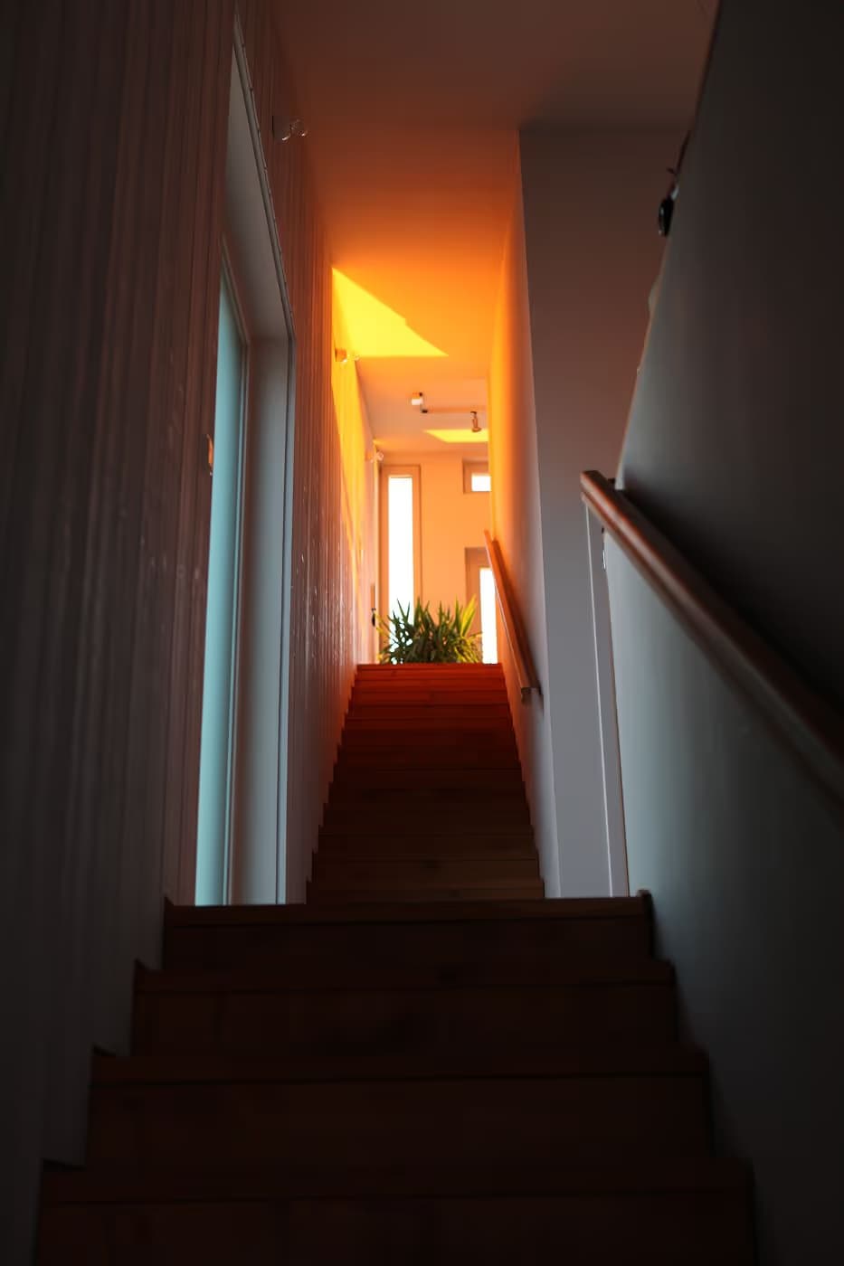 Living + Studio — Bild 2