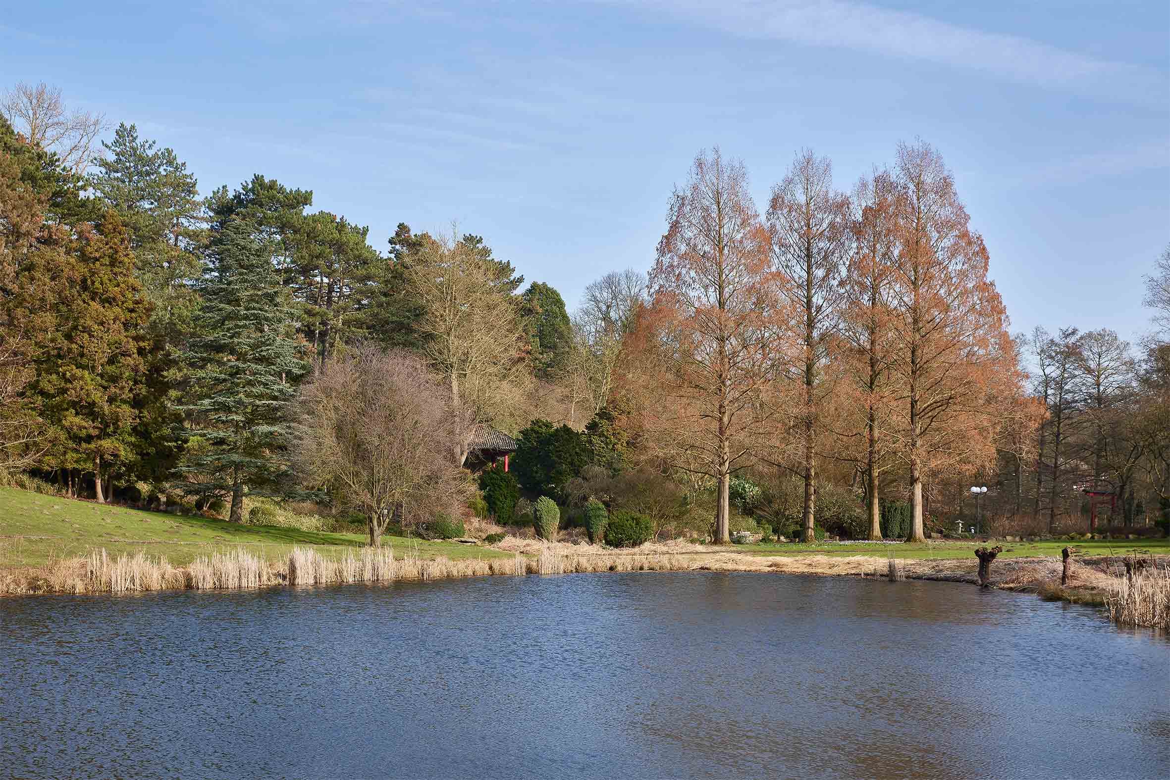 Teehaus Westfalenpark — Bild 9